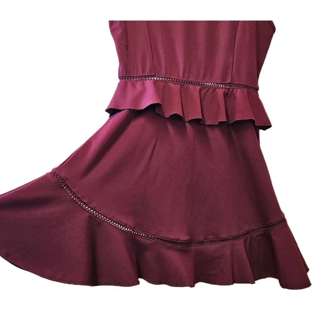 Annice Burgundy Peplum Ruffle Sleeveless Fit & Flare Dress Size L Dark Feminine - Picture 5 of 7